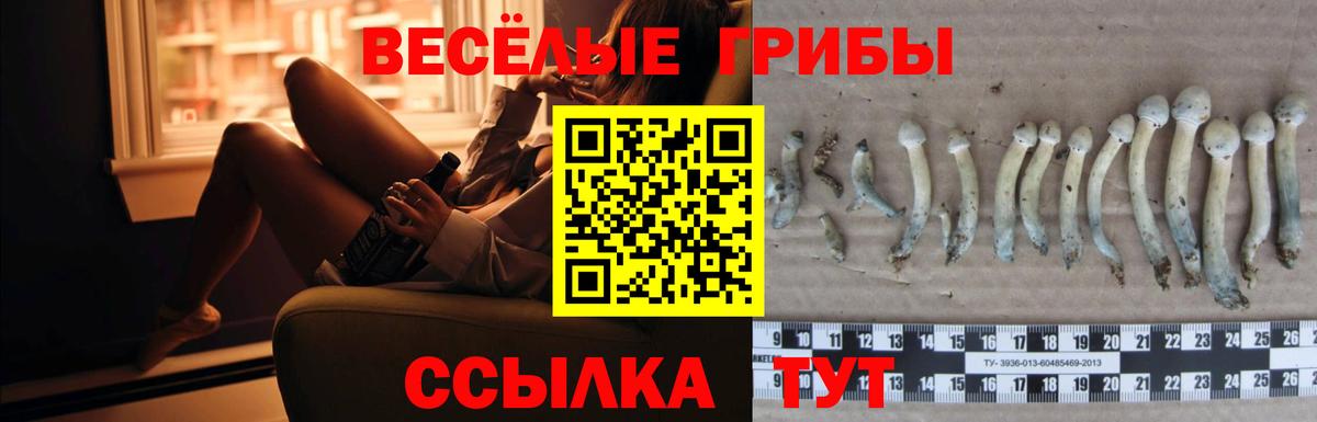 Галлюциногенные грибы мухоморы  Вход с VPN  наркошоп  Гусиноозёрск 